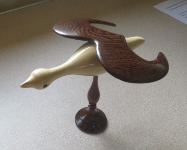 This bird won a commended certificate for Howard Overton